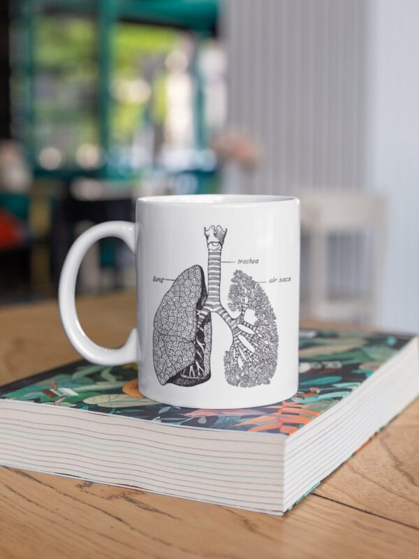 Anatomical Drawings Mug, 4 Designs to choose, heart, rib cage, lungs, skull, doctor, nurse, gift, Medical, Birthday - Can be personalised - Image 2