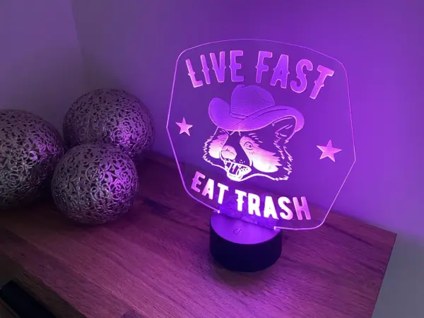 Live Fast Eat Trash - Racoon Cowboy LED Lamp - Light - With Remote - Colour changing or static - Image 6