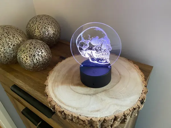 Anatomical Skull LED Lamp - Multi-colours with remote - USB or Battery Powered - Image 6