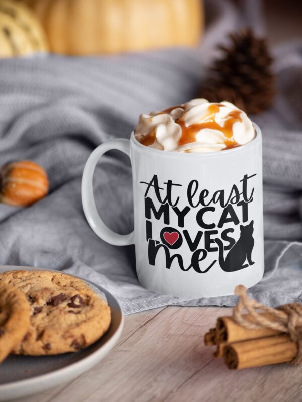 At least my Cat loves me mug, gift for her, valentines gift, gift for dog lover, gift for dog owner
