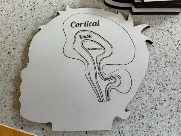 Cortical Limbic Brainstem Puzzle