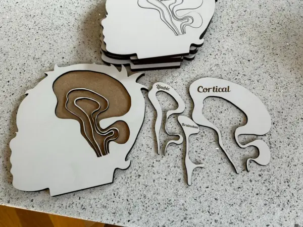 Cortical Limbic Brainstem Puzzle