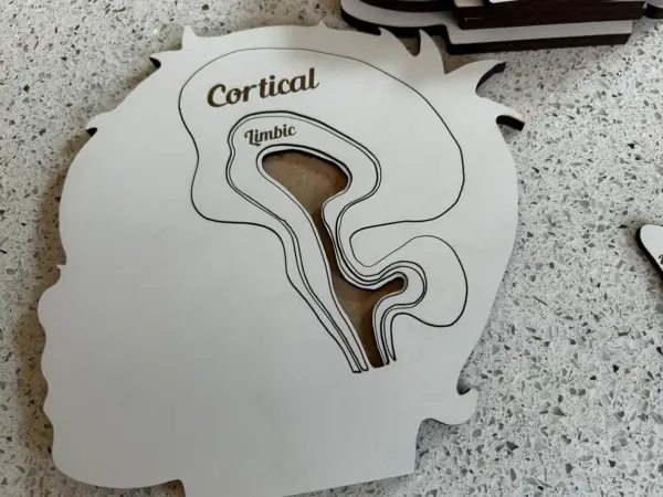 Cortical Limbic Brainstem Puzzle