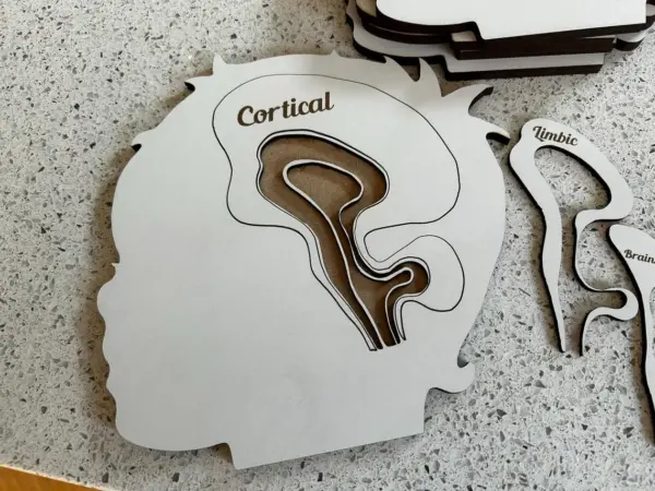 Cortical Limbic Brainstem Puzzle