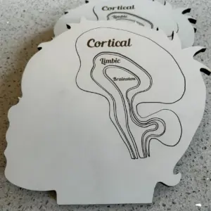 Brain Puzzle - Cortical Limbic and Brainstem Pieces - Useful Therapy Tool