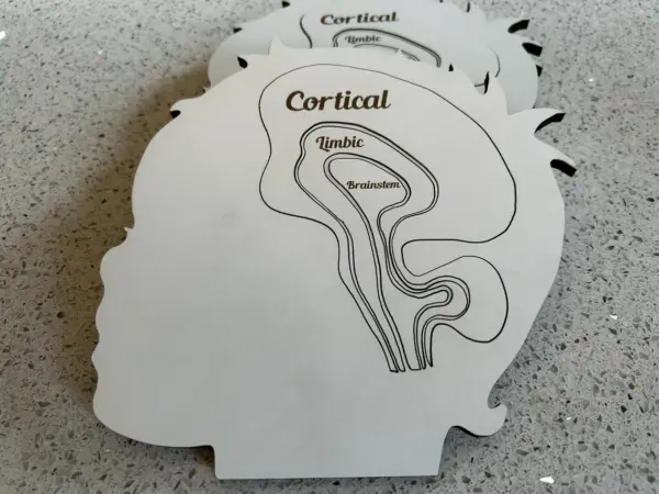 Cortical Limbic Brainstem Puzzle