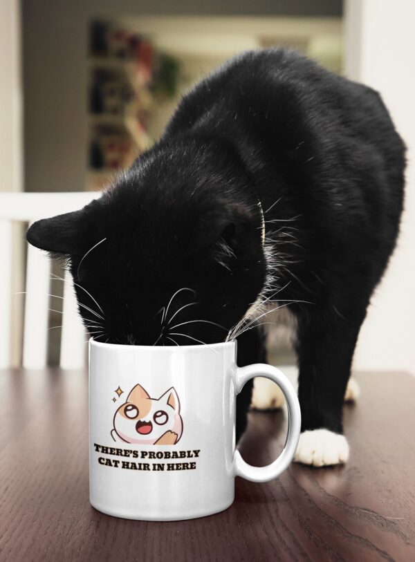There's probably cat hair in here mug, funny cat mug, cat lover gift, cat mug, crazy cat lady, cat dad, cat mum